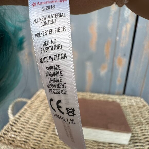 American Girl Corinne Tan GOTY 2022 - Picture 5 of 16
